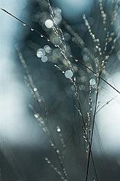 CDPR：没有《2077》最初失败 往日之影就不会如此出色